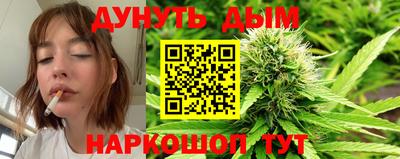 mdpv Дубна