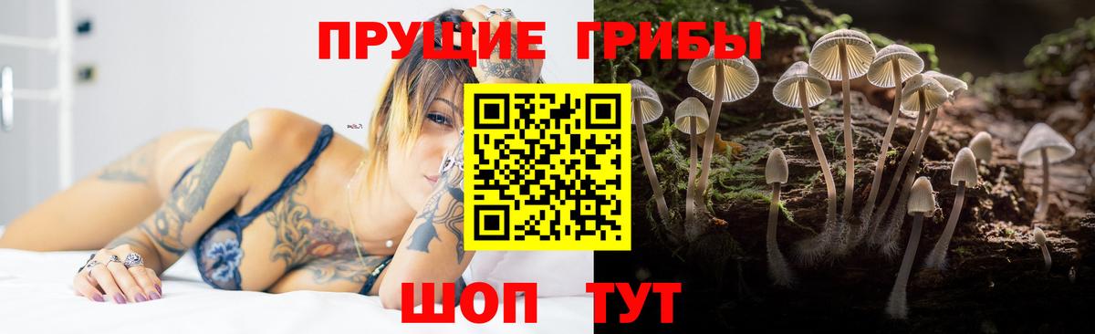 Майкоп  купить   Вход с VPN  Галлюциногенные грибы мухоморы  Псилоцибиновые грибы Cubensis 