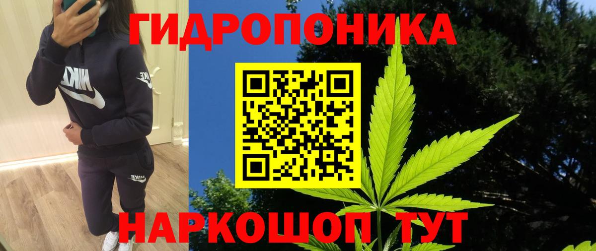 МАРИХУАНА семена Майкоп