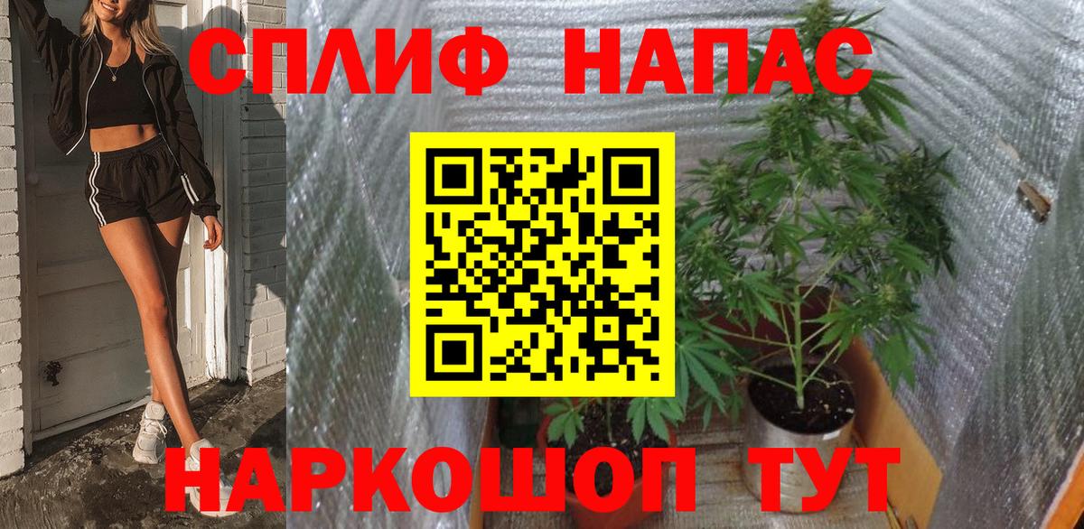 Каннабис MAZAR  Вход с VPN  Майкоп  Бошки Шишки гибрид  Марихуана тримм 